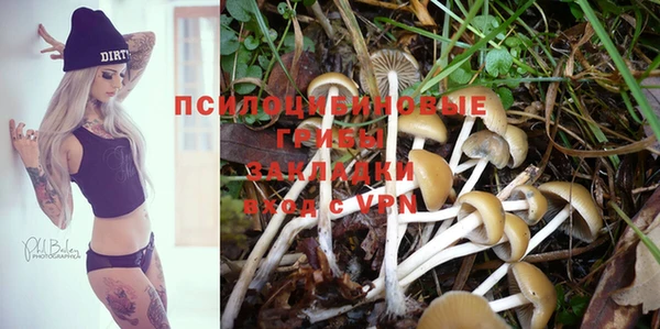 MESCALINE Зерноград