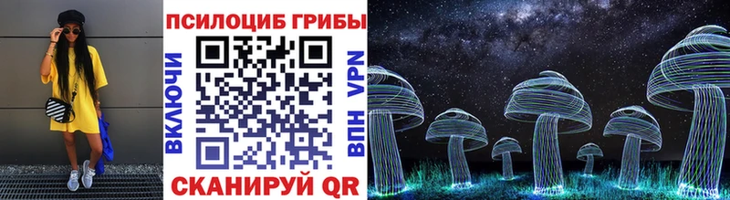 mega   Димитровград  Псилоцибиновые грибы прущие грибы 